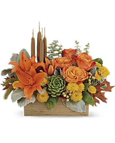 <div id="mark-1" class="m-pdp-tabs-marketing-description">Enjoy the serenity of the season with a fresh fall centerpiece that is as beautiful as it is soothing. This lush arrangement enchants in shades of peach, orange and green - combining roses, lilies and even a succulent plant! Hand-delivered in a natural-toned bamboo rectangle.</div>
<p> </p>
<div id="desc-1">
<ul>
<li>This gorgeous centerpiece arrangement features orange roses, orange asiatic lilies, yellow cushion spray chrysanthemums, peach hypericum, millet, cattails and a succulent plant, and finished with dusty miller, spiral eucalyptus and lemon leaf.</li>
<li>Delivered in a rectangular wooden box.</li>
</ul>
</div>